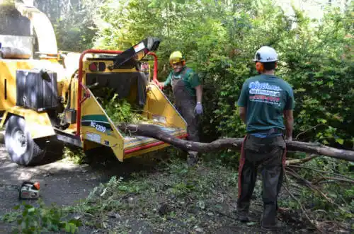 tree services Upper Santan Village